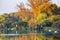 Autumn peaceful lake landscape