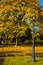 Autumn in Phoenix Park. Dublin. Ireland