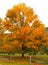 Autumn Picnic Perfection