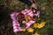 autumn picnic. on a red picnic mat there is a red thermos, two tin mugs with tea, grapes, red healthy viburnum, lemon