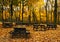 Autumn Picnic Tables