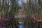 Autumn pictures with reflections in the water in autumn light