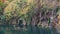 Autumn Plitvice Lakes
