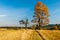 Autumn in Poland - colorful fields and trees in StoÅ‚owe Mountains in Lower Silesia - Dolny Slask Region in Karlow, Poland