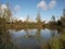 Autumn pond overgrown with reeds with water lilies and autumn sky reflected in the water