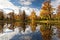 Autumn pond in the park