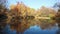 Autumn pond still background view