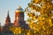 Autumn poplar and Cathedral