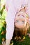 Autumn portrait of adorable smiling little girl child standing upside down on grass and having fun