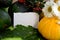 Autumn postcard still life. Pumpkin and zucchini are on the table. In the middle is a blank sheet of paper for writing text