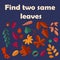 Autumn poster. Kids worksheet. Finding same leaves. Logic game. Preschool riddle. Rowan and maple. Autumnal forest