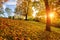 Autumn in Prague, beautiful sunny park on Vitkov hill, Zizkov district, Czech Republic