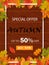 Autumn promo offer template background  for website with frame, leaves and wood.Special offer, autumn sale, discount banner.vector