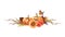 Autumn pumpkin arrangement. Watercolor illustration. Hand drawn rustic thanksgiving festive decor. Robin bird on pumpkin