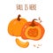Autumn pumpkin card Thanksgiving vector closeup