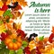 Autumn pumpkin and fall season leaf poster design