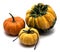 Autumn pumpkin isolated