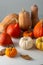 Autumn pumpkin set still life holiday concept hokkaido butternut