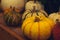 Autumn Pumpkin Thanksgiving Background - orange pumpkins over rusty background.