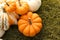 Autumn pumpkins background