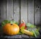 Autumn pumpkins and corn