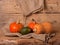 Autumn pumpkins harvest