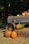 Autumn pumpkins and straw bales
