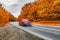 autumn pursuit chase. asphalt road and fast fury red car in motion on cloudy day. Travel auto trip autumn rain road in forest