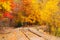 Autumn railroad
