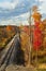 Autumn railroad in Ohio, vertical