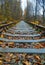 Autumn railway