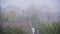 Autumn Rain on a Background of Yellow Leaves of Trees and Houses