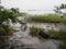 Autumn rain nature. Natural lake in the fall. The tides at Bay.