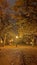 Autumn rainy night with lonely bench under yellowed trees in the park - vintage tones and soft focus processing