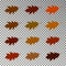 Autumn realistic leaves isolated on transparent background. Falling colors leaves set, vector illus