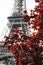 Autumn red Eiffel