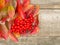 autumn red and orange leaf and berry on old wood background