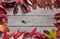 Autumn red rowan leaves on rustic wood background