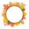 Autumn red and yellow leaves round frame vector illustration. Falling leaf circle. Autumnal season rounded set.