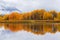 Autumn Reflection in the Tetons