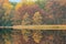 Autumn Reflections Douglas Lake