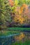 Autumn Reflections at the Finger Lakes National Forest