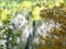 Autumn reflections of tree branch colors in a lake of Panticosa