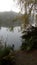 Autumn, reflections of trees and branches in a lake, fog, gray sky, forest.