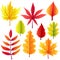 Autumn retro leaves set