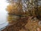Autumn river bank. Autumn leaves on the river bank. Trees in yellow leaves next to the river. Autumn landscape by the