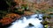 Autumn river in bulgaria