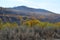 Autumn, river, forest, yellow leaves, fells, the sky, very beautiful