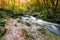 Autumn on the River Fowey