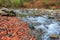 Autumn on the river Kuban